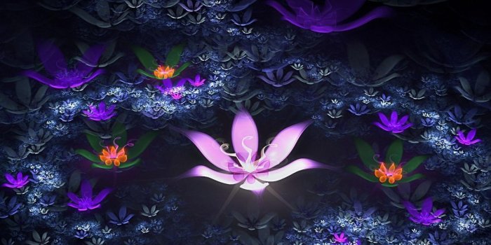 1280x800 Free download Neon Flower live wallpaper beautiful abstract