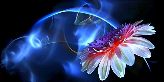 1920x1080 Free Neon Wallpapers