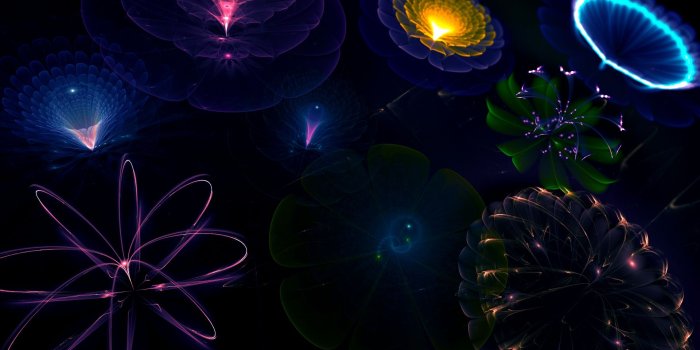 1920x1080 Neon Flowers 13313 1920x1080px