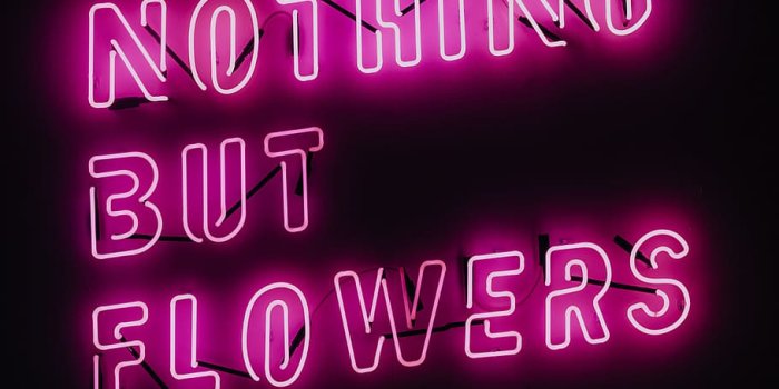 910x1365 Neon Flowers 1080P, 2K, 4K, 5K HD wallpapers free download