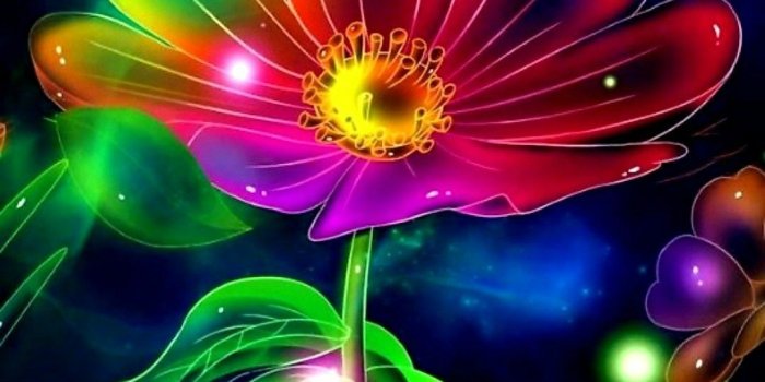 1080x2220 Neon flower | Abstract art images, Neon flowers, Fractal art
