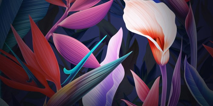 2880x1800 Neon Flowers Huawei Mate 10 Stock Wallpapers | HD Wallpapers