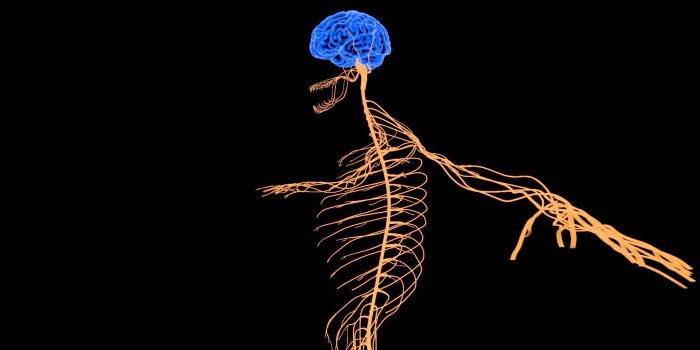 1920x1080 Best 52+ Nervous Wallpaper on HipWallpaper | Nervous Wallpaper