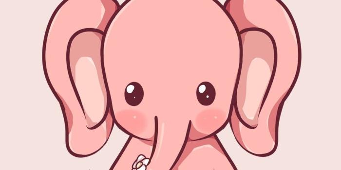 1080x1920 Elephant iPhone Wallpaper (74+ images)