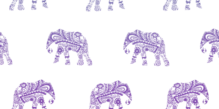 721x1280 Cute Elephant Wallpapers - Top Free Cute Elephant Backgrounds