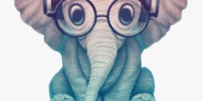 920x1052 elephant #kawaii #elephants #cuteelephant - Baby Elephant