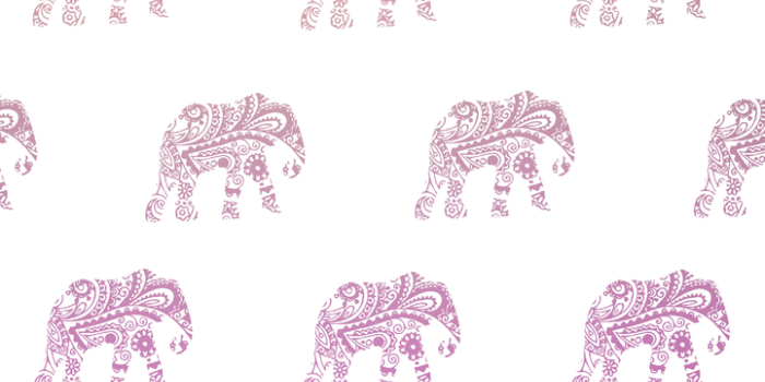 721x1280 Cute elephant wallpaper discovered by Coralie Perot