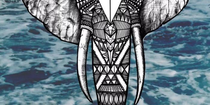 1080x1920 Elephant Tumblr Hd Wallpaper - Elephant Wallpaper Iphone