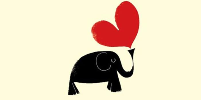 744x1392 Elephant Wallpapers For IPhone Group (62+)