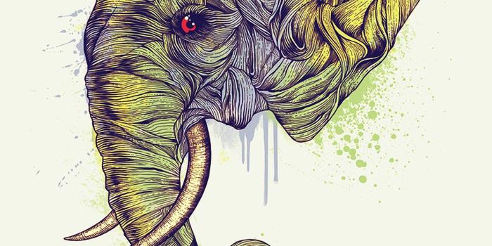1125x2436 Elephant Drawing Wallpaper at PaintingValley.com | Explore