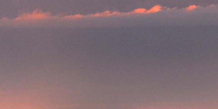 1125x2436 One elephant, grass, clouds 1125x2436 iPhone 11 Pro/XS/X wallpaper