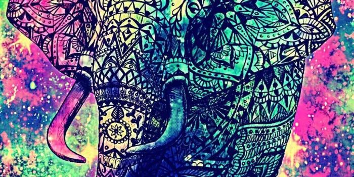 1080x1920 11 Elephant Tumblr iPhone Wallpapers - WallpaperBoat