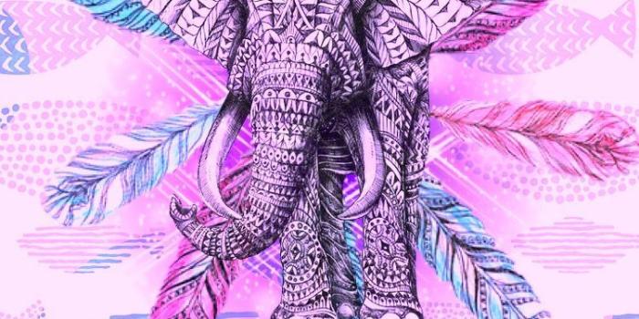 750x1334 Elephants Wallpaper Tumblr - Cute Elephant Quote Backgrounds