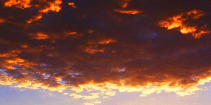 720x1280 Elephant IPhone Wallpaper - Picserio.com