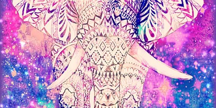 1080x1920 60+ Tribal Elephant Wallpapers on WallpaperPlay