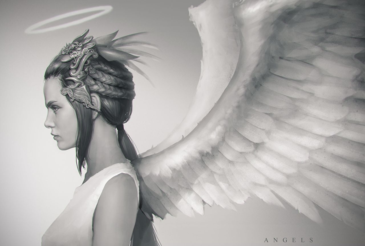 1280x865 Wallpaper Wings Girls Fantasy Angels Black and white Halo