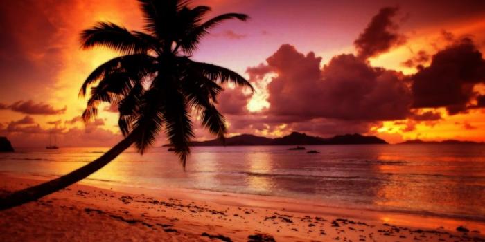 1152x864 Paradise Sunset Wallpapers - Top Free Paradise Sunset Backgrounds