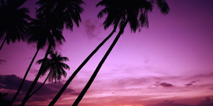 1600x1200 Paradise Sunset Wallpapers - Top Free Paradise Sunset Backgrounds