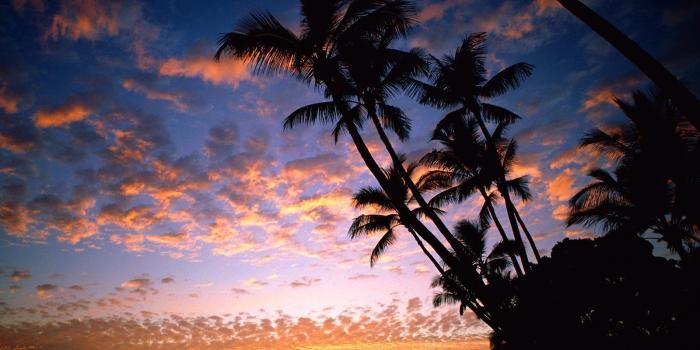 1600x1200 Tropical Beach Paradise Sunset Hd Pictures 4 HD Wallpapers