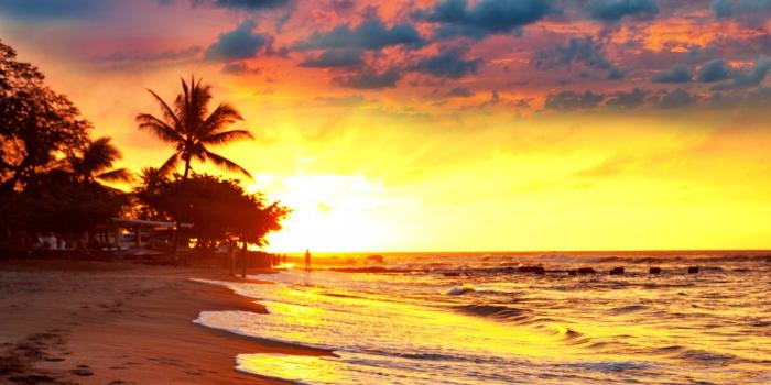 1920x1440 Tropical Paradise Hd Wallpaper - Tropical Sunset, Hd Wallpapers