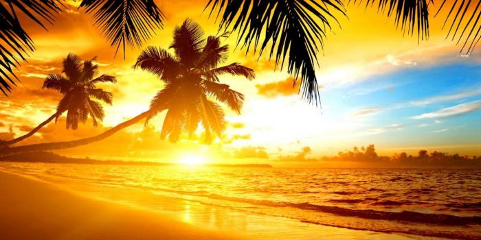 1920x1200 Paradise Sunset Wallpapers - Top Free Paradise Sunset Backgrounds