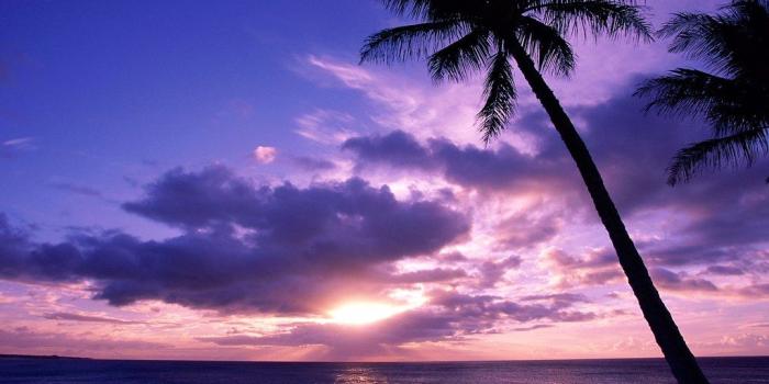 1024x768 Tropical Beach Paradise Sunset Wallpaper Cool Desktop