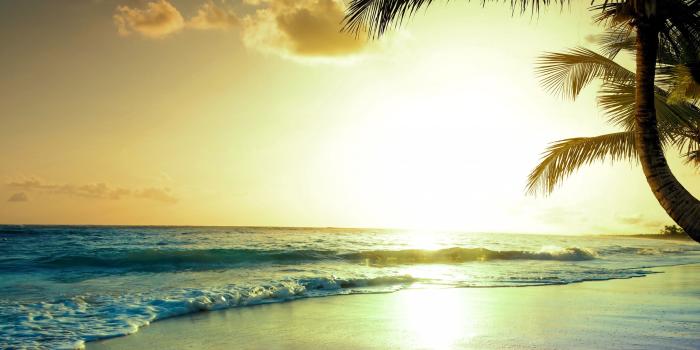 3840x2160 Wallpaper tropical beach, 5k, 4k wallpaper, paradise, sunset