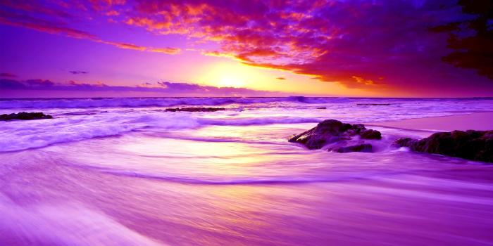 1920x1200 Purple Sunset Paradise #4241908, 1920x1200 | All For Desktop