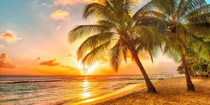 1000x864 Tropical Beach Wall Mural Photo Wallpaper Sunset Palm Trees