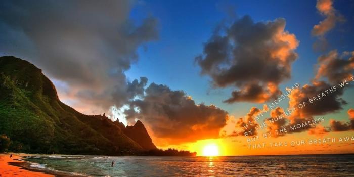 1680x1050 Free download Backgrounds wallpaper background beautiful tropical