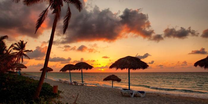 1332x850 Wallpaper sand, sea, beach, sunset, palm trees, shore, beach, sea