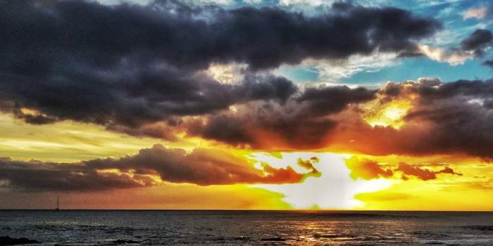 883x1280 Paradise Sunset wallpaper by Pyoung3000 - dc - Free on ZEDGE™