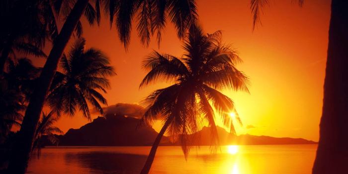 1920x1080 Beautiful Sunset Wallpapers Tropical Paradise Backgrounds Desktop