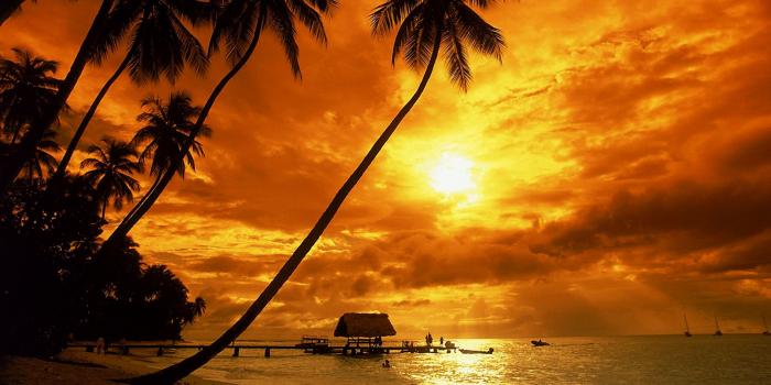 2560x1600 Tropical sunset wallpaper - Beach Wallpapers