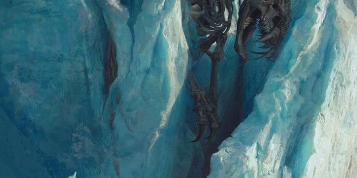 711x1123 Dragonblight by Fainernil | dragon skeleton in ice | fanttasy art