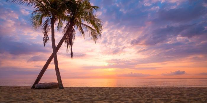 1332x850 Wallpaper sand, sea, wave, beach, summer, sunset, palm trees