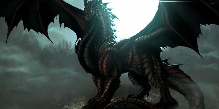 1920x1200 30+ Beautiful Evil Dragon Wallpapers High Quality