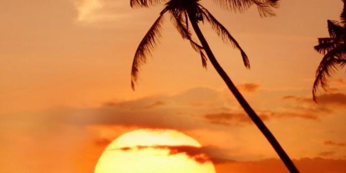 768x1280 Sunset In Tropical Paradise Ultra HD Desktop Background Wallpaper