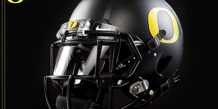 1448x972 Ducks, oregon, speed