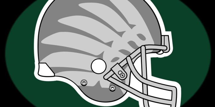 1365x1024 U of O Helmet design | Oregon ducks football, Oregon ducks, Oregon