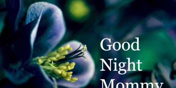 1680x1050 Good Night Mommy Wishes - Quotes & Messages