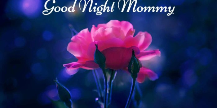 1600x1067 Good Night Mommy Wishes - Quotes & Messages