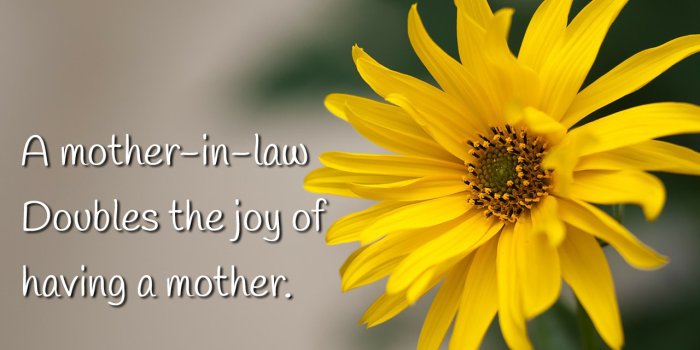 1280x960 Good Morning Wishes For Mother In Law Pictures, Images