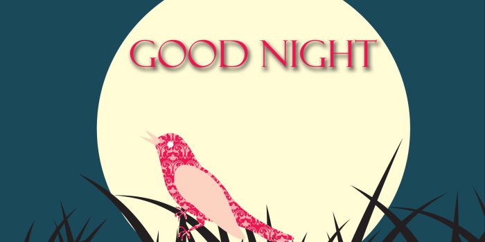 1920x1200 Good Night Wallpaper - Good Night Sweet Drama - 1920x1200