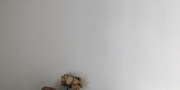 910x1213 HD wallpaper: Photo of Dried Roses, bouquet, decor, dried flowers