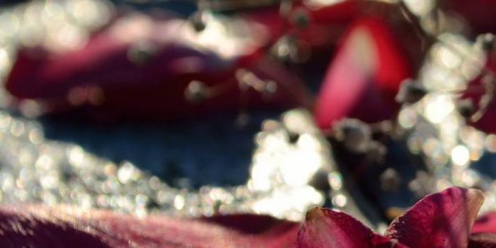 713x1200 Dead Roses wallpaper by PrivacyPolice - 54 - Free on ZEDGE™