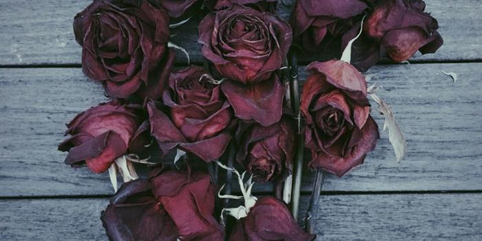 959x1280 Girl Flower Aesthetic Wallpapers