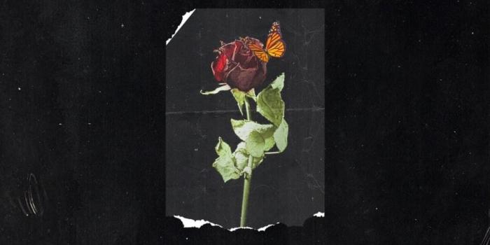 1000x1000 Phora - Bury Me With Dead Roses Lyrics and Tracklist | Genius