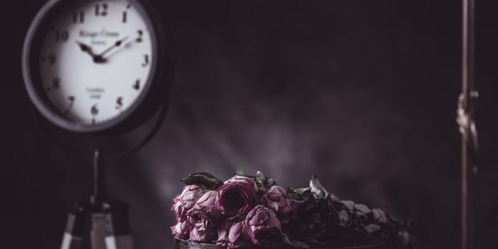 2048x1537 E I K K O N, Dead, Flowers, Time, 500px Wallpapers HD / Desktop