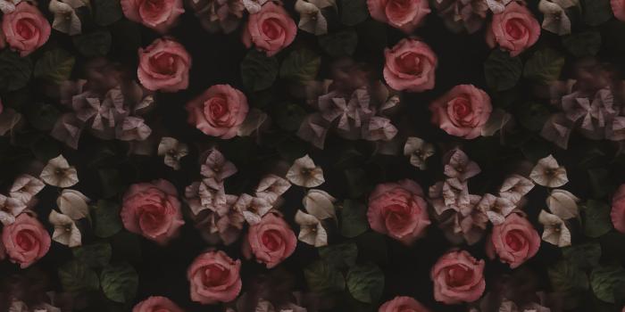 2800x2026 Cocorrina - Page 11 of 123 - Design studio, Shop, Blog and Online